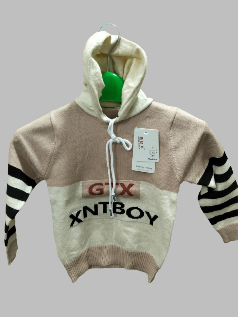 Imported boys/girls hoodie winter Jersey in 2 colors